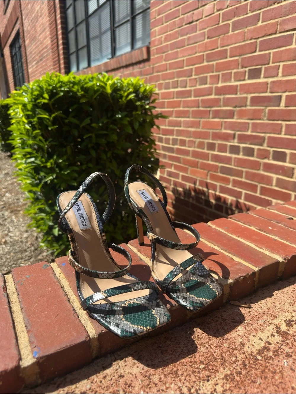 Steve Madden Snakeskin Slingback Heels Green Square Toe Stiletto